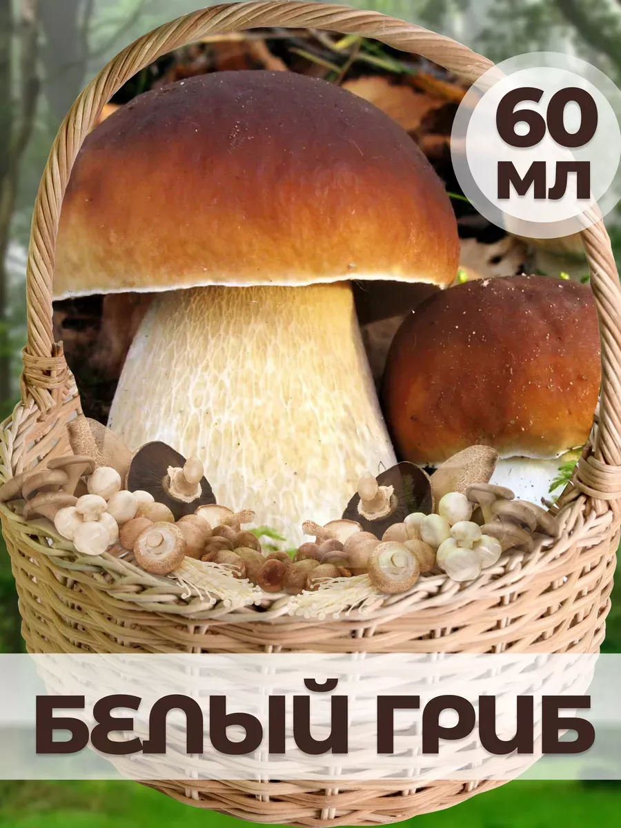 Мицелий Белого гриба (60 мл)