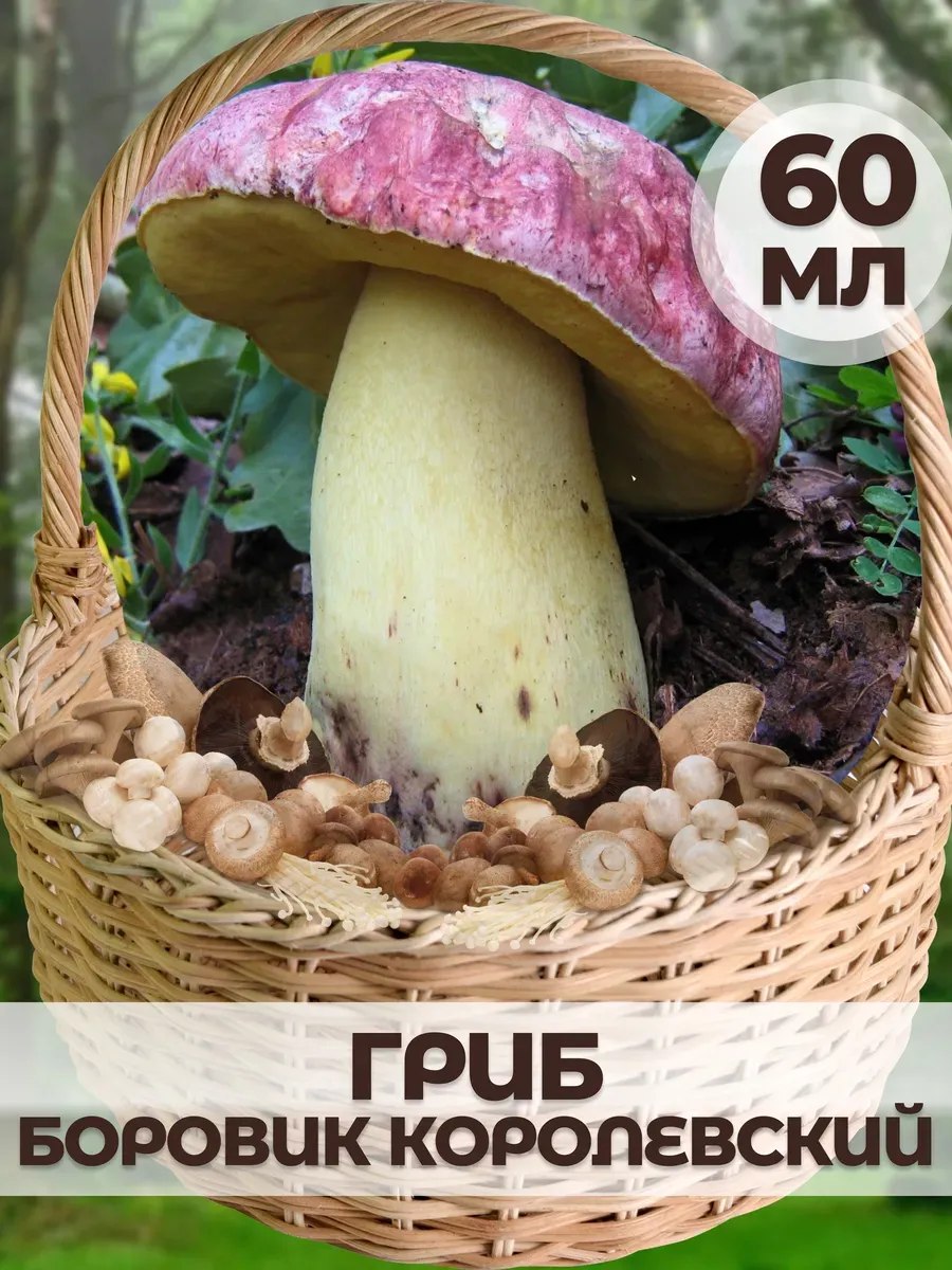 Боровик королевский (60мл)