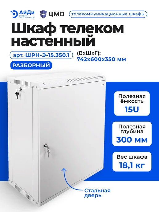 ЦМО Шкаф настенный 19" 15U со стальной дверью, серый, фото 2