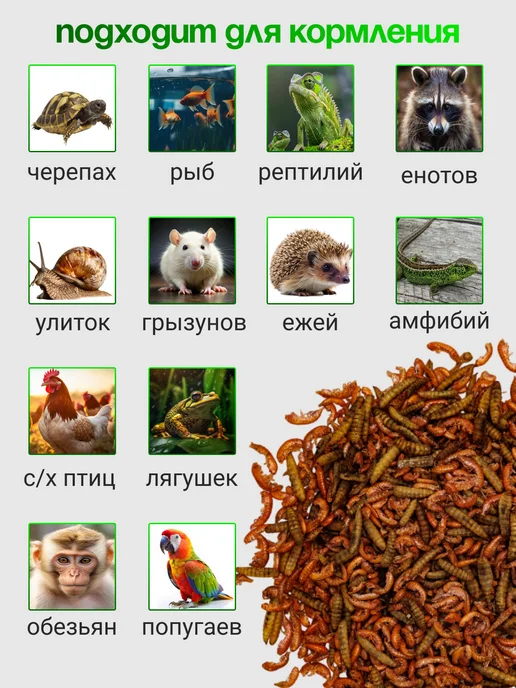 Беговая Черепаха Корм для красноухих черепах, крыс и хомяков 130 гр, 130 г, фото 2