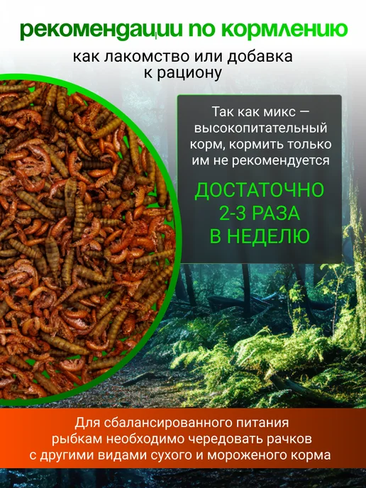 Беговая Черепаха Корм для красноухих черепах, крыс и хомяков 130 гр, 130 г, фото 4