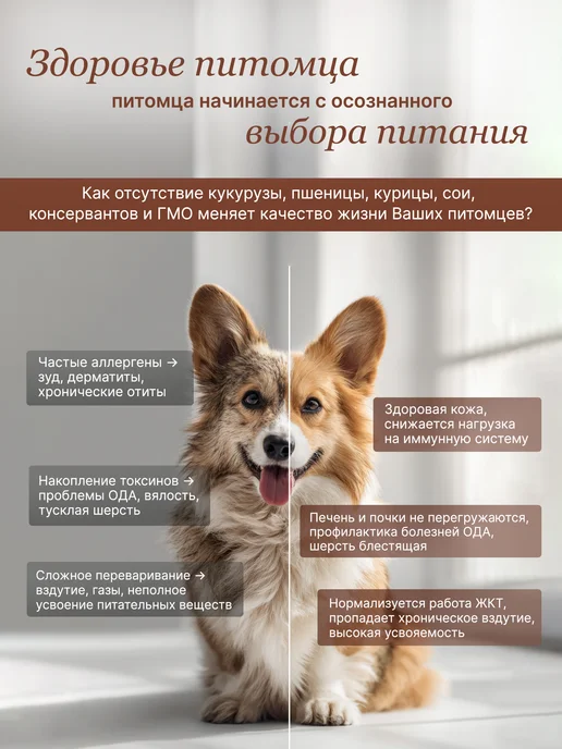 Сухой корм ALAMI Перцем для собак, мелкие, ягненок, 1 кг, фото 2