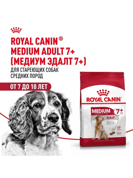 Сухой корм Royal canin Стареющих для собак, взрослые, средние, 4 кг, фото 4