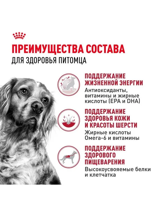 Сухой корм Royal canin Стареющих для собак, взрослые, средние, 4 кг, фото 7