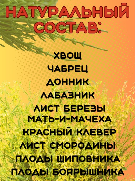 ООО "Фарм-продукт" Травяной сбор Чистые сосуды пакетированный, вариант, фото 2