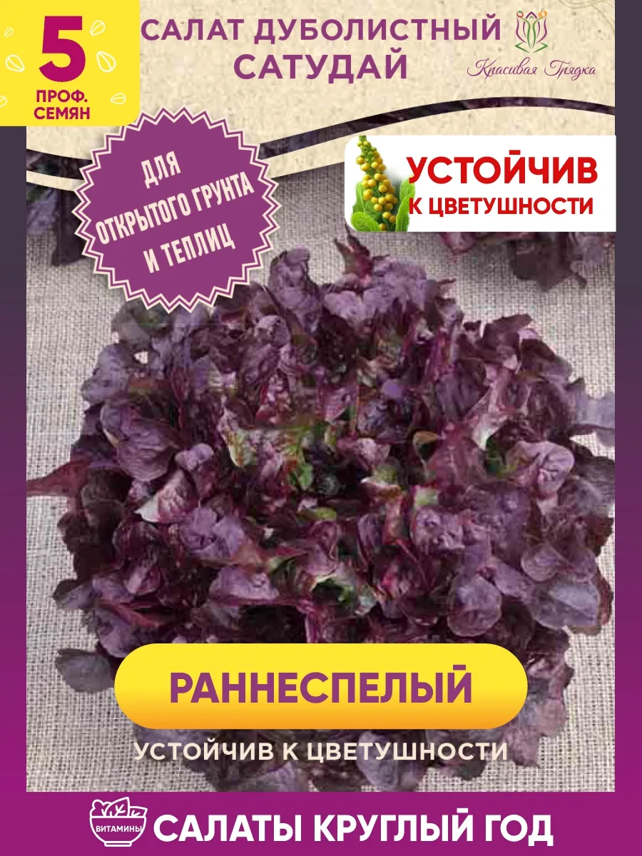 Cалат семена листовой 5 шт.