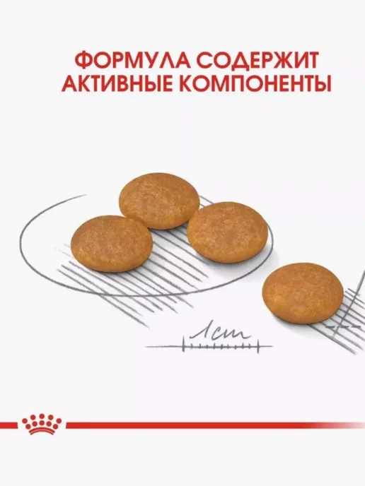 Сухой корм Royal canin Dermacomfort Раздраженной для собак, мелкие, 1 кг, фото 4