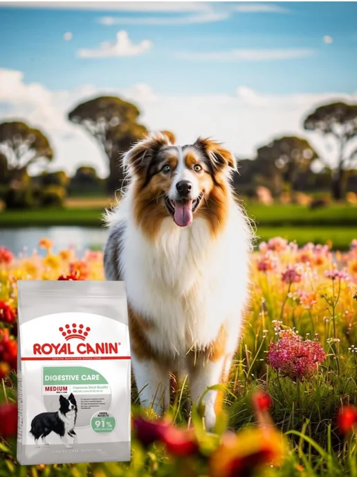 Сухой корм Royal canin Digestive Проблемным для собак, средние, 3 кг, фото 3