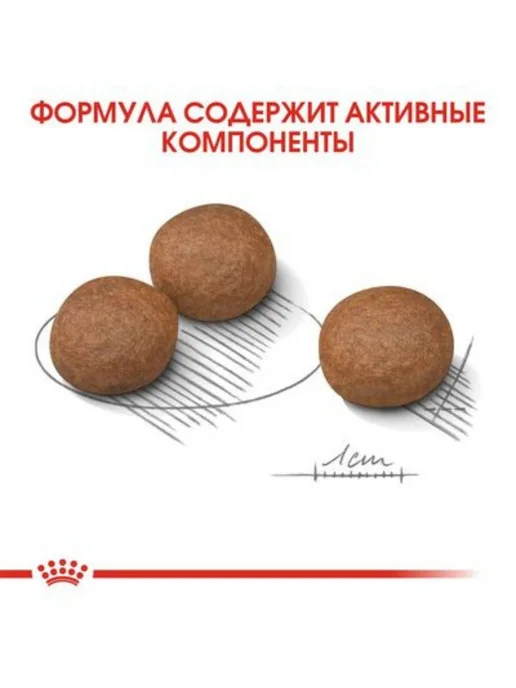 Сухой корм Royal canin Digestive Проблемным для собак, средние, 3 кг, фото 6