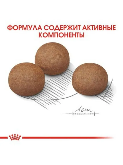 Сухой корм Royal canin Digestive Проблемным для собак, крупные, 3 кг, фото 6