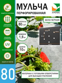 Интернет‑магазин Wildberries: широкий ассортимент товаров - скидки каждый день!