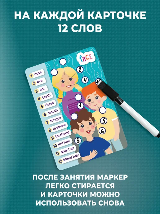 Дрофа-Медиа Настольная игра Английский язык для детей, голубой, фото 5