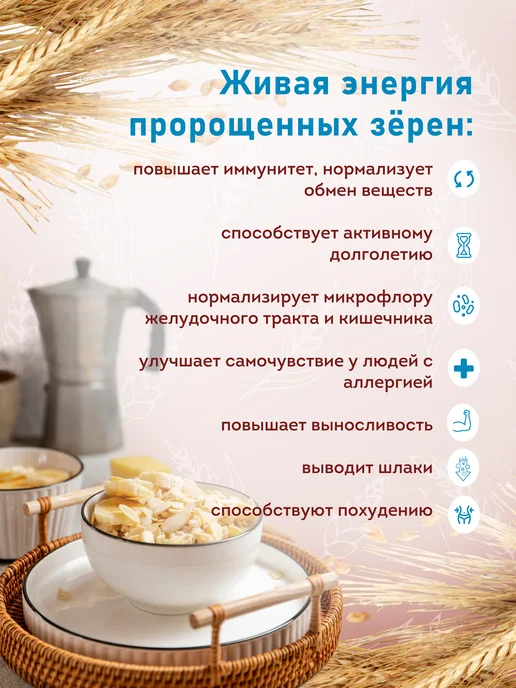 Актирман Талкан ячменный из пророщенного зерна 350 грамм, вариант, фото 2