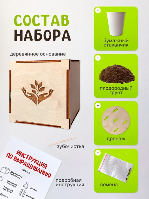 Сад на окне Брусника Набор для выращивания растений, вариант, фото 3