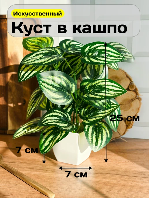 GreenHol Искусственное растение Фиттония в горшке для декора, вариант