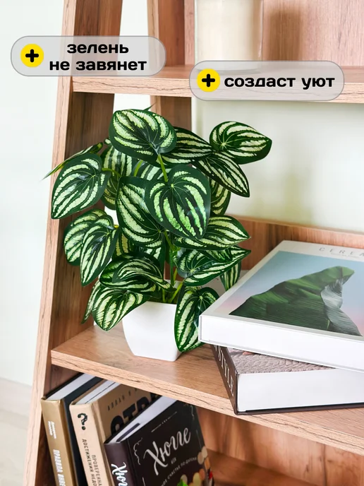 GreenHol Искусственное растение Фиттония в горшке для декора, вариант, фото 2