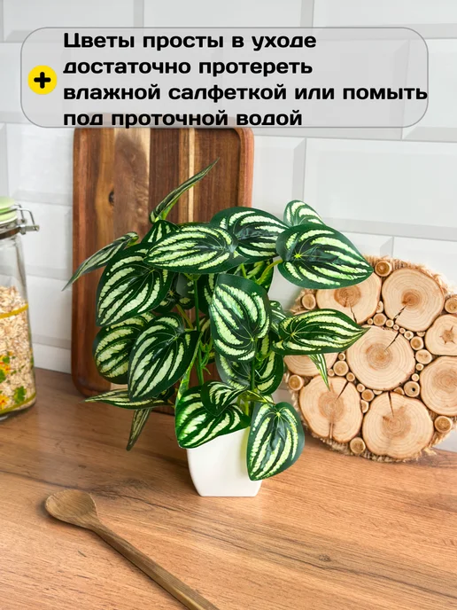 GreenHol Искусственное растение Фиттония в горшке для декора, вариант, фото 6