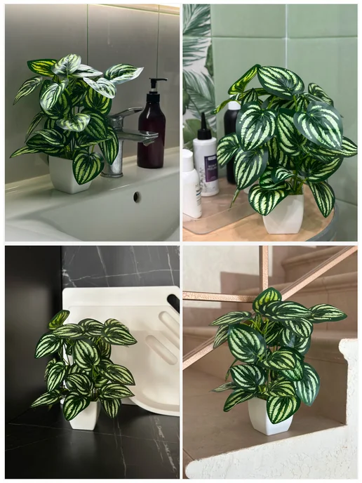 GreenHol Искусственное растение Фиттония в горшке для декора, вариант, фото 8
