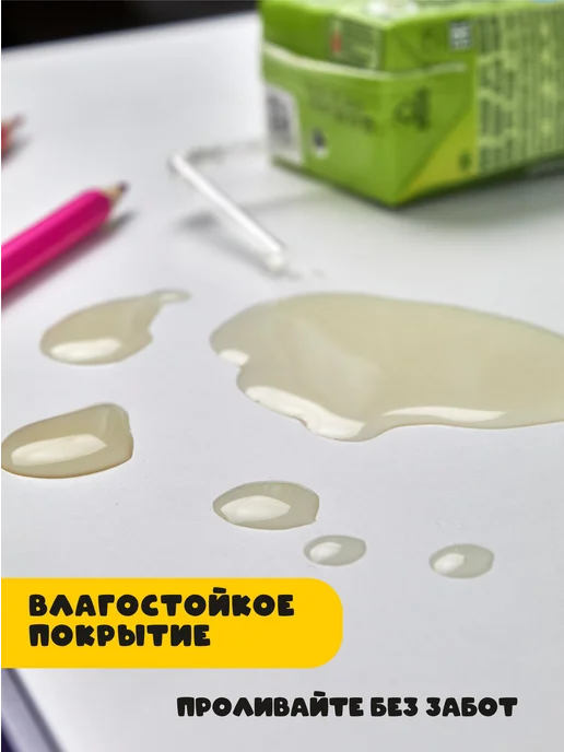 ВАРИАНТ Home Детский стол и стул растущий комплект с пеналом, белый, фото 4