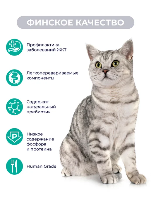 Jarvi elaman Корм Gastrointestinal для кошек для поддержания ЖКТ, 12 шт, 12 шт, фото 2