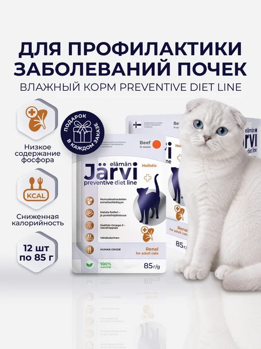 Jarvi elaman Влажный корм Renal для кошек для поддержания почек, 12 шт, 12 шт