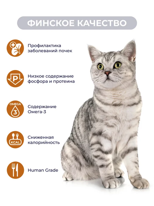 Jarvi elaman Влажный корм Renal для кошек для поддержания почек, 12 шт, 12 шт, фото 2