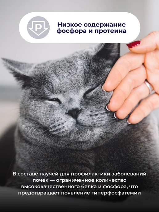 Jarvi elaman Влажный корм Renal для кошек для поддержания почек, 12 шт, 12 шт, фото 5
