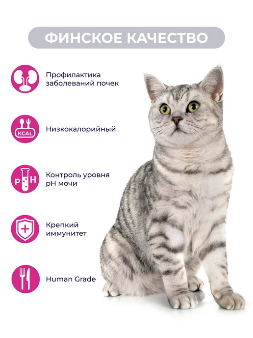 Jarvi elaman Влажный корм Urinary для кошек для профилактики МКБ, 12 шт, 12 шт, фото 2