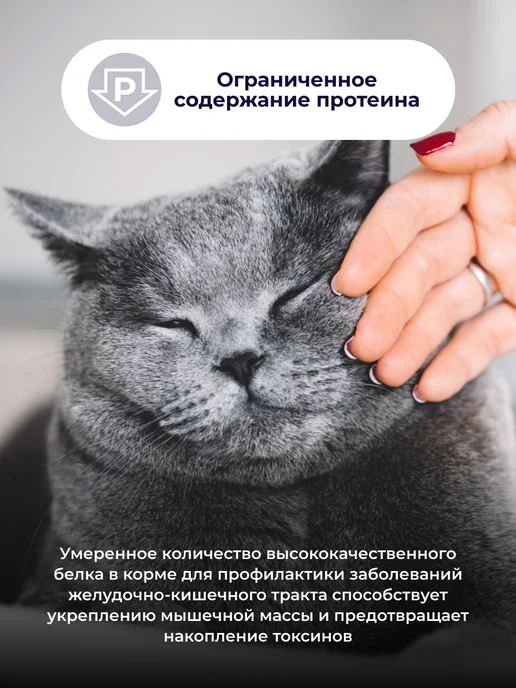 Jarvi elaman Влажный корм Urinary для кошек для профилактики МКБ, 12 шт, 12 шт, фото 5