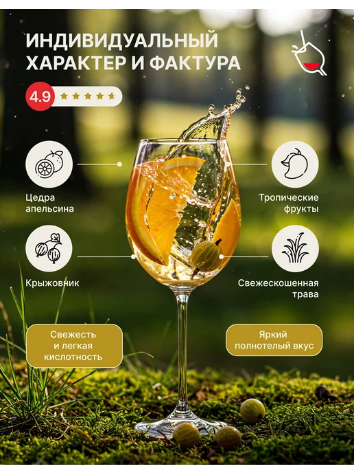 Saronsberg Вино белое сухое Sauvignon Blanc, белый, фото 2