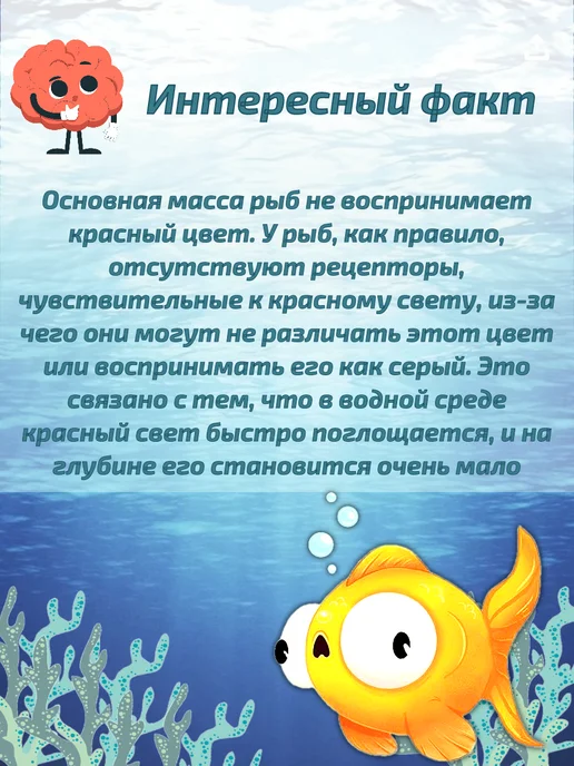 Barbus Аквариумный сачок с инфракрасной сеткой 018 (10*7.5 см), 10x7.5 см, фото 4