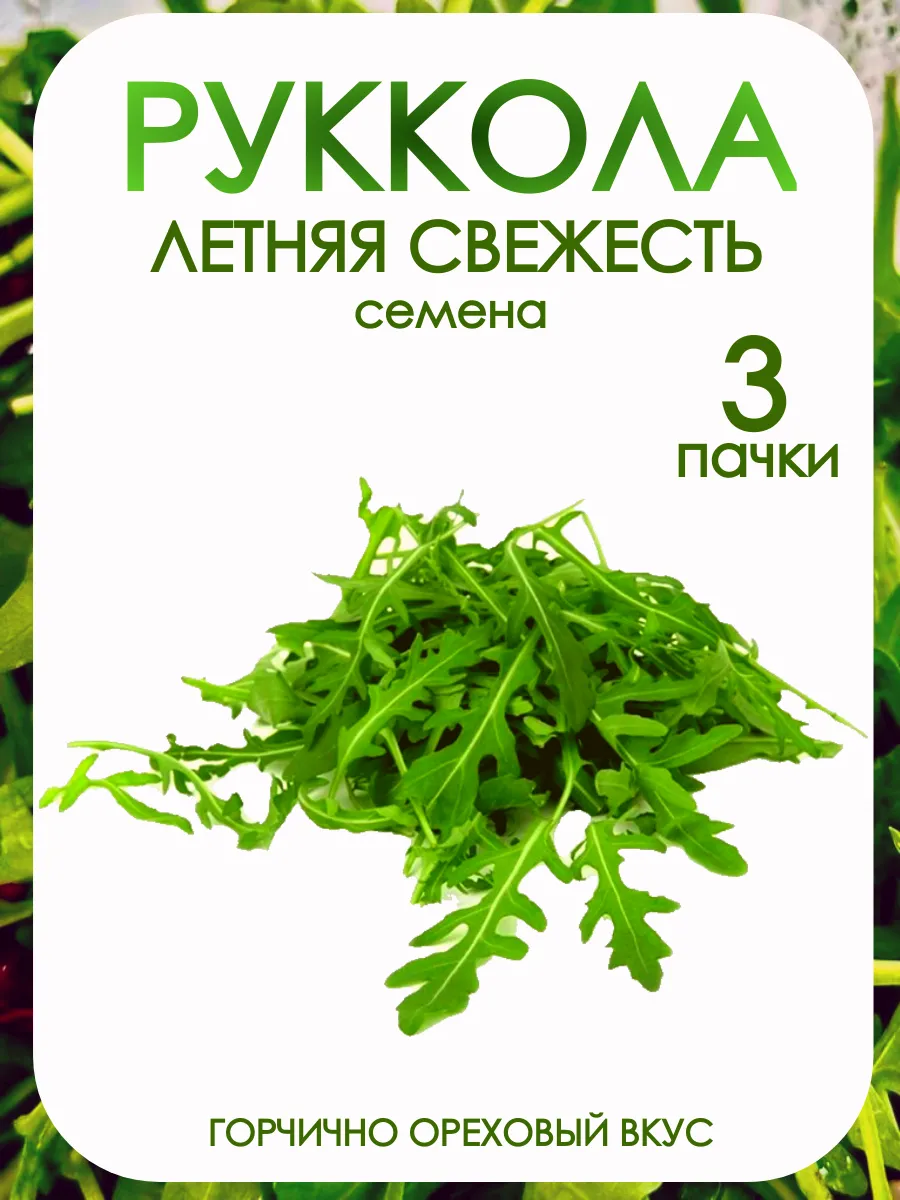 Семена рукколы для подоконника и огорода