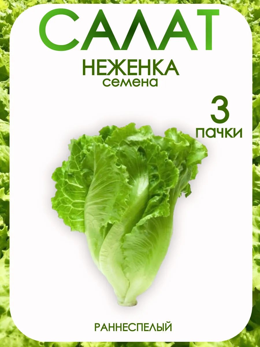 Салат листовой семена для подоконника и открытого грунта