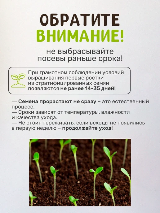 Сад на окне Клубника Набор для выращивания растений, вариант, фото 2