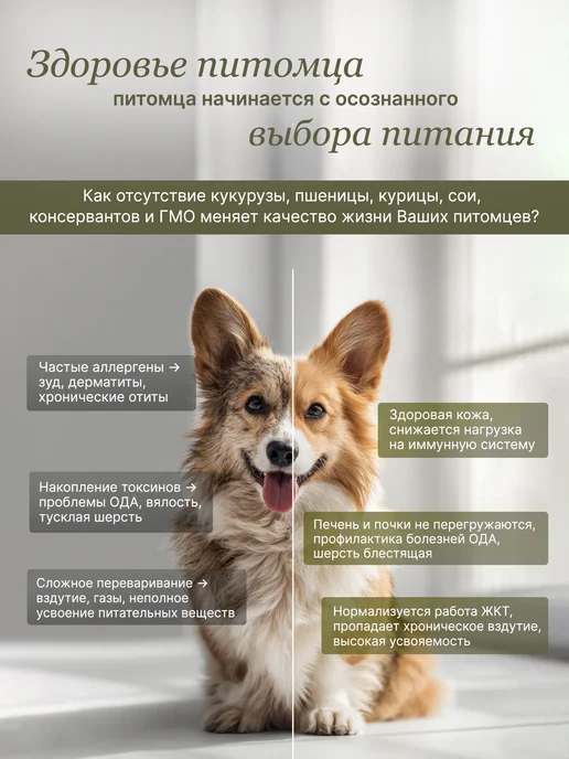 Сухой корм ALAMI Нежная для собак, мелкие, рыба, 1 кг, фото 2