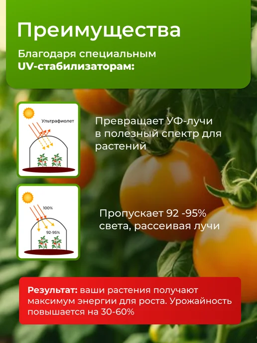 Светлица Пленка для теплиц многолетняя 200 мкм 6х8, 6x10, фото 2
