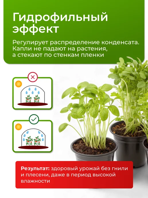 Светлица Пленка для теплиц многолетняя 200 мкм 6х8, 6x10, фото 3