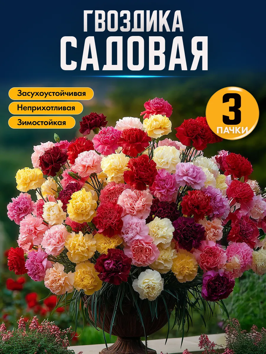 Семена гвоздики садовой