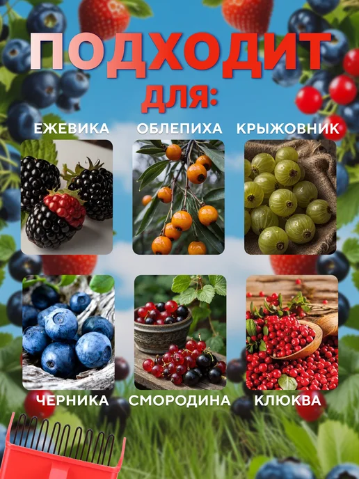 для сада плодосборник для ягод, черный, фото 3