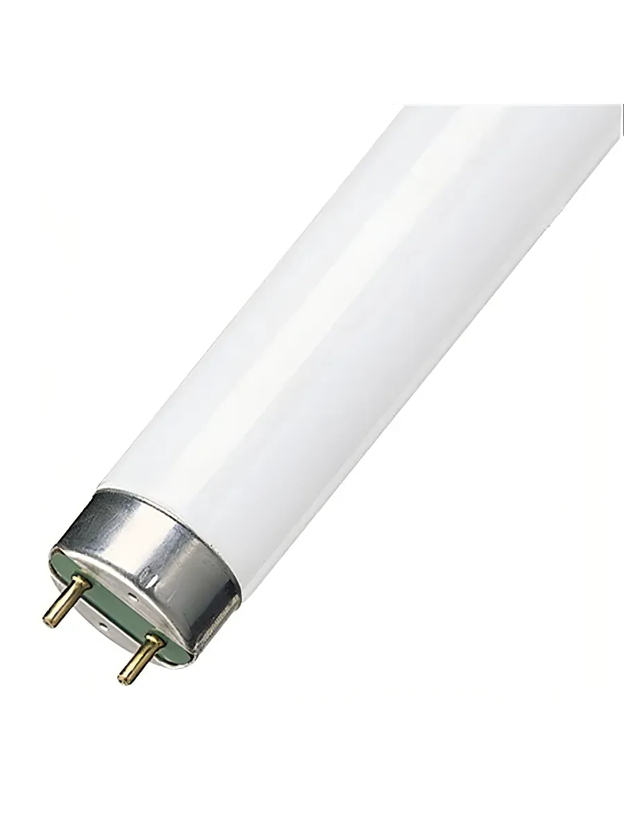 Лампа (2 шт) люминесцентная L 18W 765 18Вт T8 6500К G13