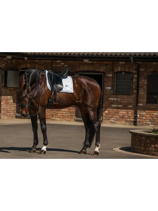 Equestrian Stockholm Вальтрап выездковый White Perfection Silver, белый, фото 4