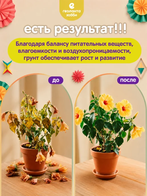 Земля для цветов комнатных, грунт 10 литров, 10 л, фото 3