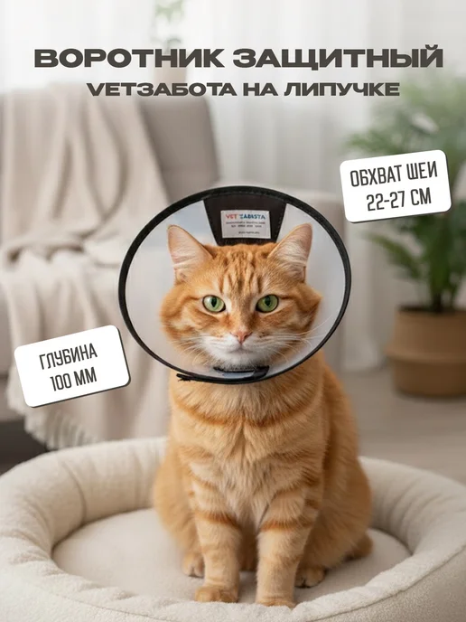 Vetзабота Воротник защитный для собак и кошек на липучке № 10, вариант