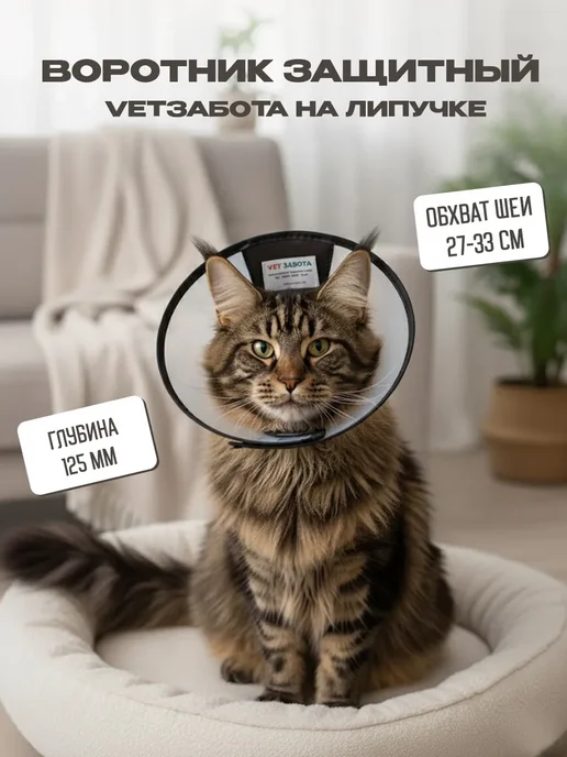 Vetзабота Воротник защитный №12.5, на липучке, прозрачный, 12.5 см, 12.5 прозрачный 12.5 см