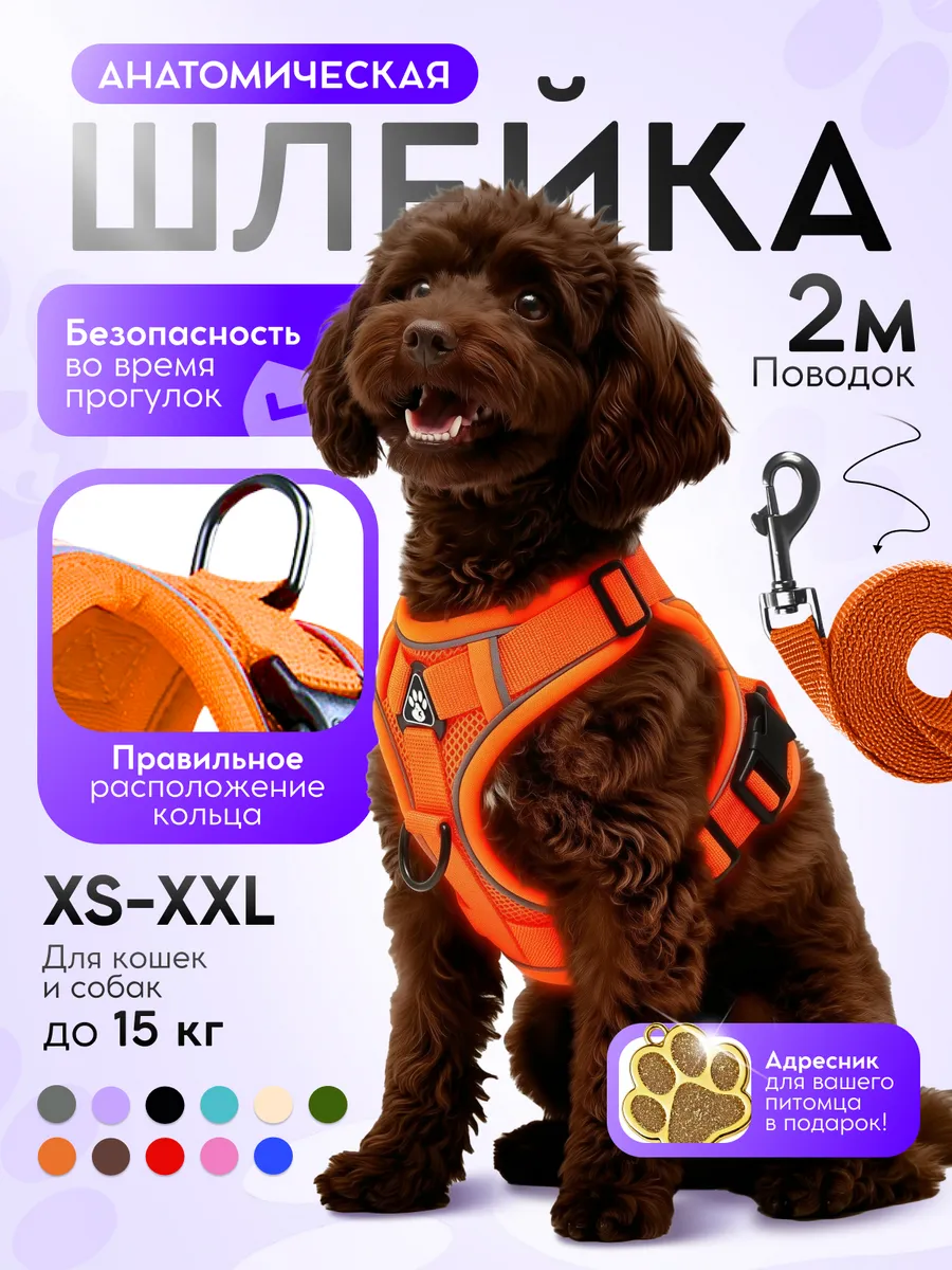 Шлейка для собак мелких средних пород и кошек с поводком