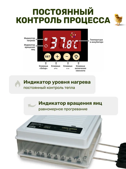 GREEN FARMER Инкубатор для яиц автоматический Б-70, зеленый, фото 3