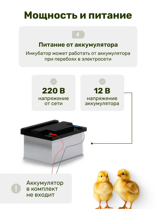 GREEN FARMER Инкубатор для яиц автоматический Б-70, зеленый, фото 6