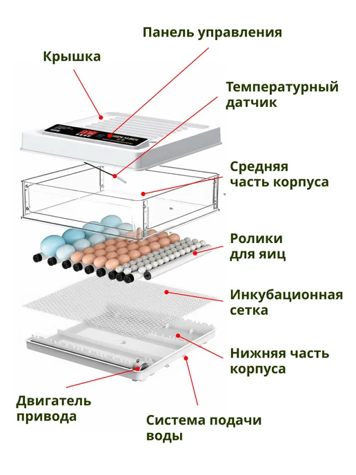 GREEN FARMER Инкубатор для яиц автоматический Б-70, зеленый, фото 8