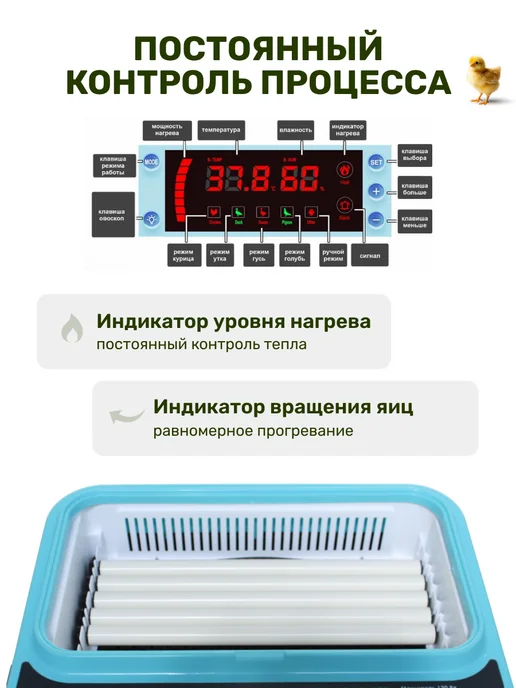 GREEN FARMER Инкубатор для яиц автоматический Г-36, зеленый, фото 3