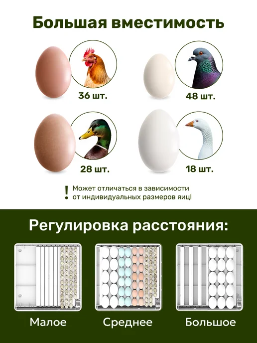 GREEN FARMER Инкубатор для яиц автоматический Г-36, зеленый, фото 5